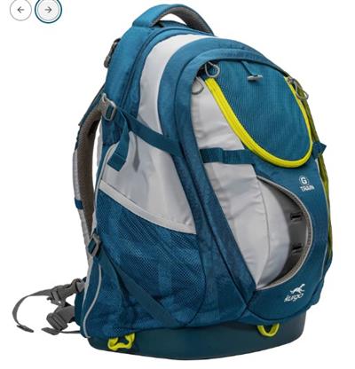 Kurgo G-Train K9 Dog Carrier Backpack - INK BLUE