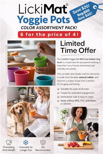 LickiMat Yoggie Pot Color Assortment Pack - 6 for the price of 4 promotion!