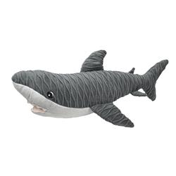 22" Groovyz - Shark