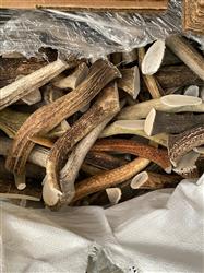 9" Elk Whole Antler Dog Chew – C Grade XL 1LB