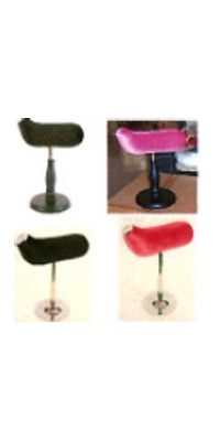 Dog Form - Horizontal