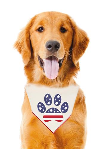 USA | Patriotic Dog Bandana | 4th of July | Memorial Day | Independence Day | Fourth of July | 1776