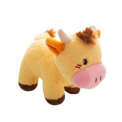 Extra Product Image