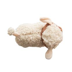 Extra Product Image