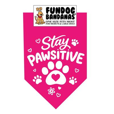 Wholesale Pack - Stay Pawsitive -  Assorted Colors