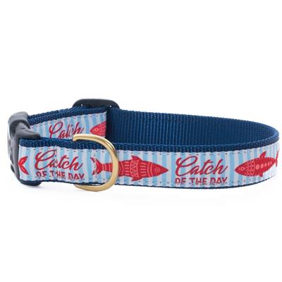 Catch of the day Dog Collar