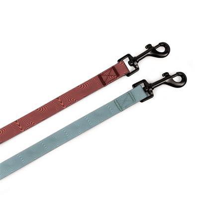 Body Glove Beach Walk Convertible Pet Leash