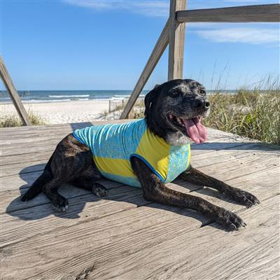 Body Glove Crystal Cool Pet Cooling Shirt