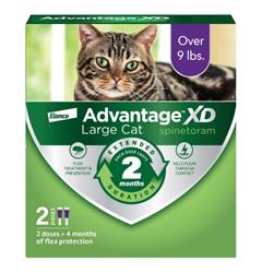 Elanco Advantage XD Cat Large - 2 Pack