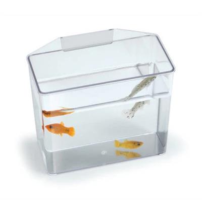 Lee's Aquarium & Pet Products Break Resistant Specimen Container Clear, 1ea/LG
