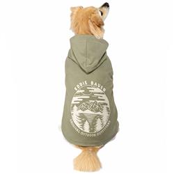 Eddie Bauer Landscape Graphic Hoodie, Fern Green, XS