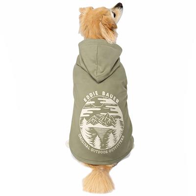 Eddie Bauer Landscape Graphic Hoodie, Fern Green, XS