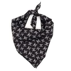 Skull & Crossbones Bandana