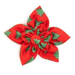 Shimmering Spruce Flower