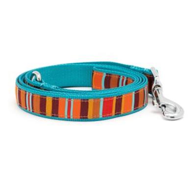 Fall Fiesta Stripe Dog Collar & Lead