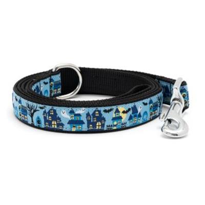 Haunting Dog Collar & Lead