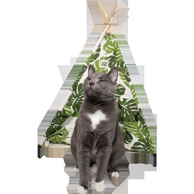 Travel Cat Monstera Cat Tent Bed