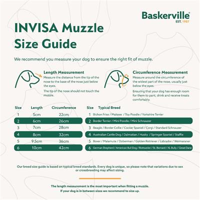 Baskerville INVISA