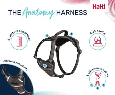 Halti Anatomy Harness