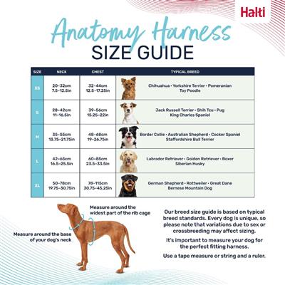 Halti Anatomy Harness