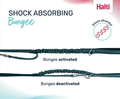 Halti Anatomy Multi Lead