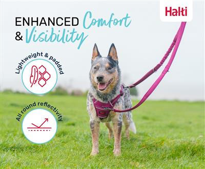 Halti Anatomy Multi Lead