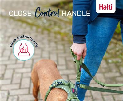 Halti Anatomy Multi Lead