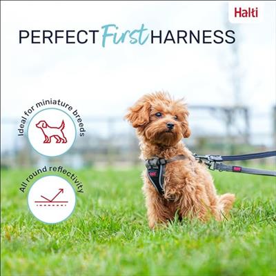 Halti Anatomy Puppy Harness Grey