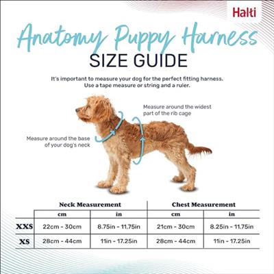 Halti Anatomy Puppy Harness Grey