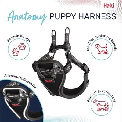 Halti Anatomy Puppy Harness Grey