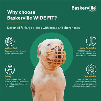 Baskerville Wide Fit
