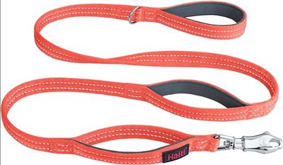 Halti BRIG Safety Lead