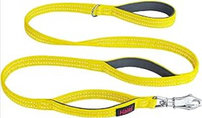 Halti BRIG Safety Lead