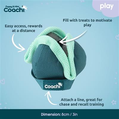 Coachi Puppy & Mini Chase & Treat Teal & Mint