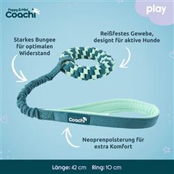 Coachi Puppy & Mini Tuggi Helix Teal & Mint
