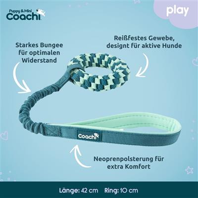 Coachi Puppy & Mini Tuggi Helix Teal & Mint