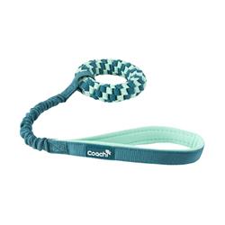Coachi Puppy & Mini Tuggi Tug Teal & Mint