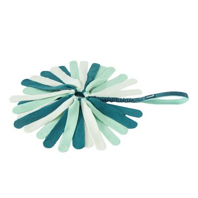 Coachi Puppy & Mini Tuggi Spider Teal & Mint