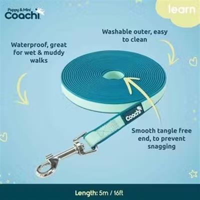 Coachi Puppy & Mini Training Line Teal