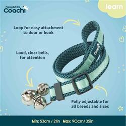 Coachi Puppy & Mini Toilet Bells Teal & Mint