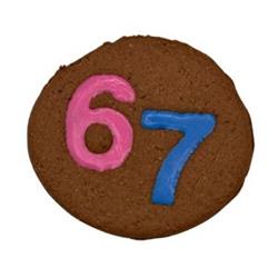 67 91980 Hand Decorated Molasses