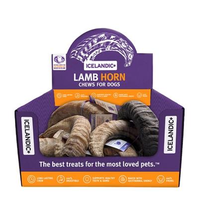 ICELANDIC DOG LAMB HORN LARGE 12 PIECE DISPLAY