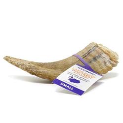 ICELANDIC DOG LAMB HORN WITH MARROW 36 PIECE DISPLAY