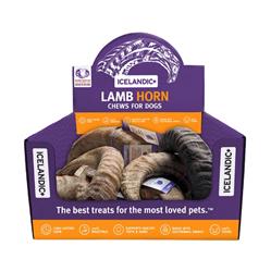 Icelandic Dog Lamb Horn Large 12 Piece Display