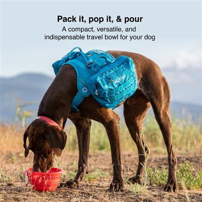 Kurgo Dog Collaps-A-Bowl Orange