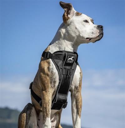 Kurgo Dog Tru Fit Harness Quick Release Black Large