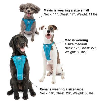 Kurgo Dog Tru Fit Smart Harness Black Small