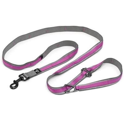 Kurgo Dog Quantum Leash Violet