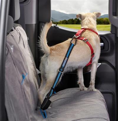 Kurgo Dog Seat Belt Tether Blue