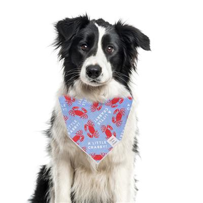 Crab | Nautical Bandana | Summer Bandana | Beach Bandana - A Little Crabby